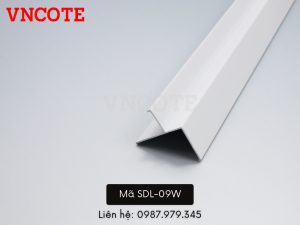 SLD 09W 1