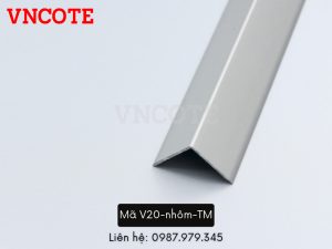 V20 nhom TM 1