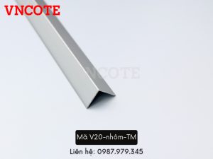 V20 nhom TM 2