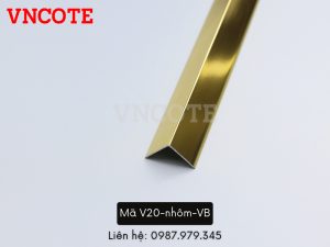 V20 nhom VB 1