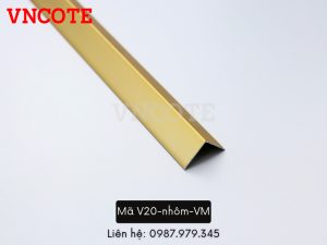 V20 nhom VM2